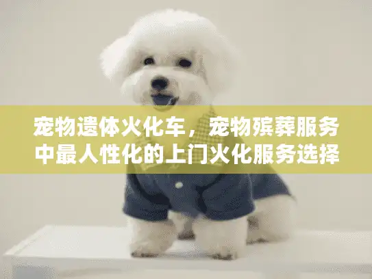 宠物遗体火化车，宠物殡葬服务中最人性化的上门火化服务选择
