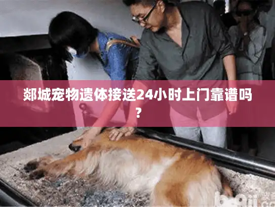 郯城宠物遗体接送24小时上门靠谱吗？
