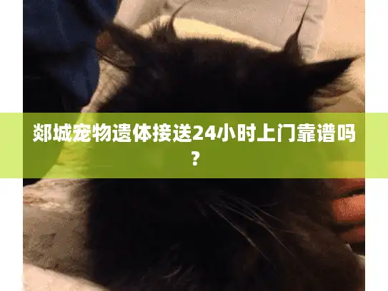 郯城宠物遗体接送24小时上门靠谱吗？
