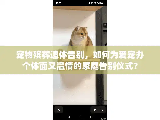 宠物殡葬遗体告别，如何为爱宠办个体面又温情的家庭告别仪式？