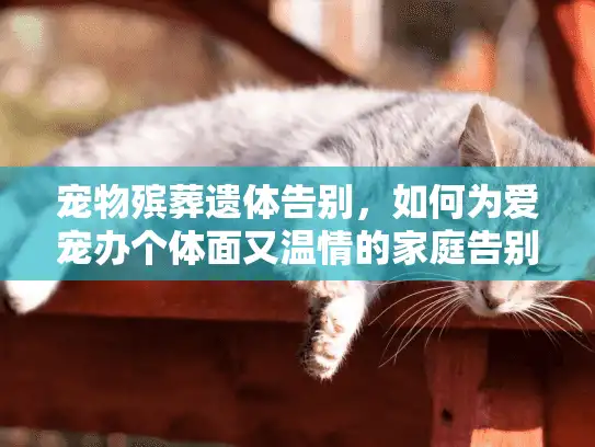 宠物殡葬遗体告别，如何为爱宠办个体面又温情的家庭告别仪式？