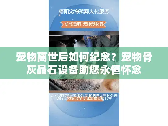 宠物离世后如何纪念？宠物骨灰晶石设备助您永恒怀念