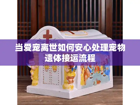 当爱宠离世如何安心处理宠物遗体接运流程