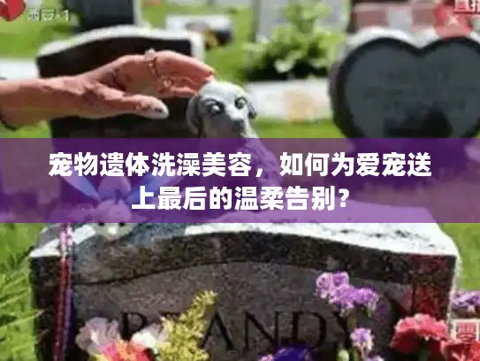 宠物遗体洗澡美容，如何为爱宠送上最后的温柔告别？