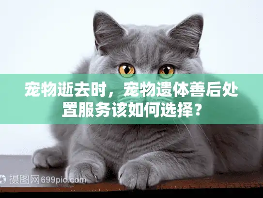 宠物逝去时，宠物遗体善后处置服务该如何选择？