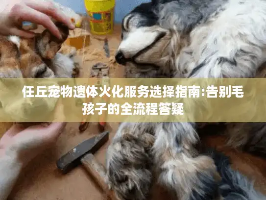 任丘宠物遗体火化服务选择指南:告别毛孩子的全流程答疑