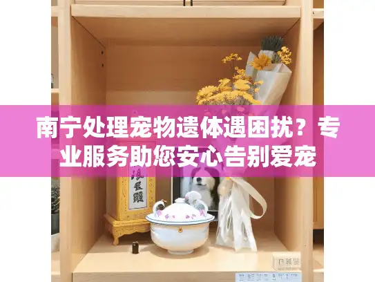 南宁处理宠物遗体遇困扰？专业服务助您安心告别爱宠