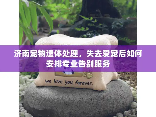 济南宠物遗体处理，失去爱宠后如何安排专业告别服务