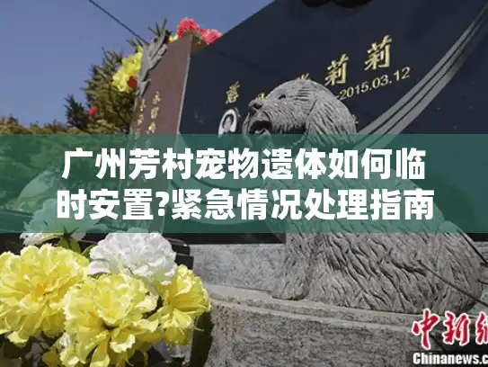 广州芳村宠物遗体如何临时安置?紧急情况处理指南
