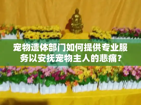宠物遗体部门如何提供专业服务以安抚宠物主人的悲痛？