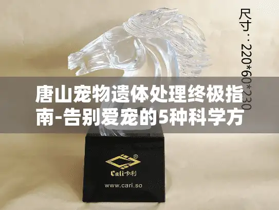 唐山宠物遗体处理终极指南-告别爱宠的5种科学方式