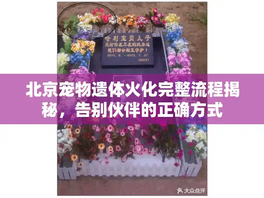 北京宠物遗体火化完整流程揭秘，告别伙伴的正确方式