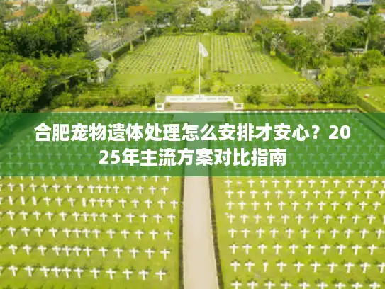 合肥宠物遗体处理怎么安排才安心？2025年主流方案对比指南