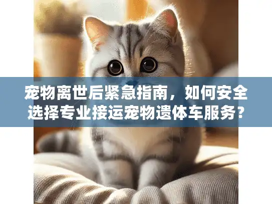宠物离世后紧急指南，如何安全选择专业接运宠物遗体车服务？