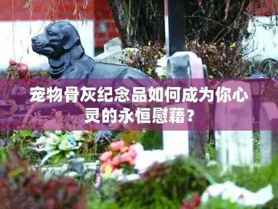 宠物骨灰纪念品如何成为你心灵的永恒慰藉？