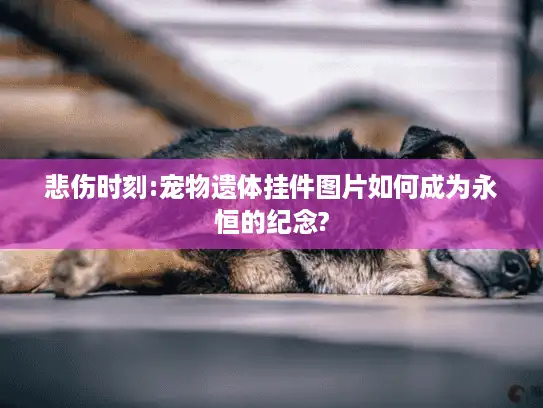 悲伤时刻:宠物遗体挂件图片如何成为永恒的纪念?