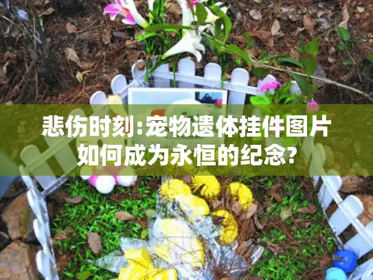 悲伤时刻:宠物遗体挂件图片如何成为永恒的纪念?