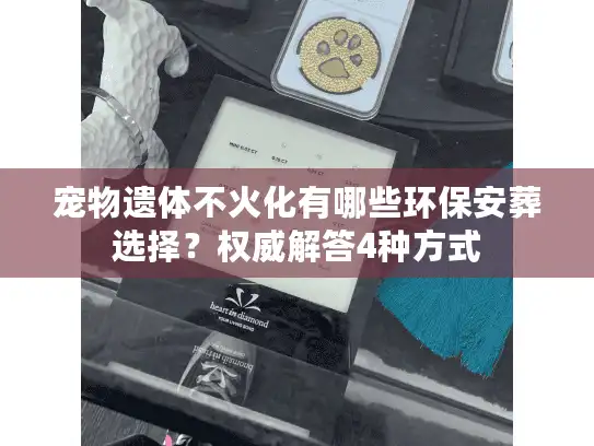 宠物遗体不火化有哪些环保安葬选择？权威解答4种方式