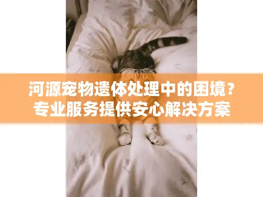 河源宠物遗体处理中的困境？专业服务提供安心解决方案