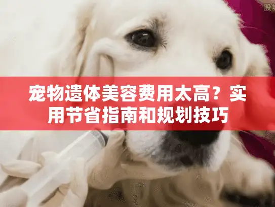 宠物遗体美容费用太高？实用节省指南和规划技巧