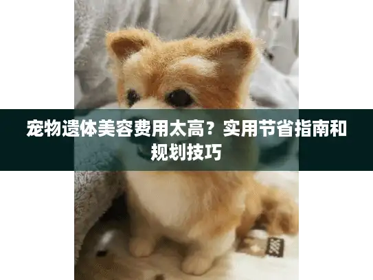宠物遗体美容费用太高？实用节省指南和规划技巧