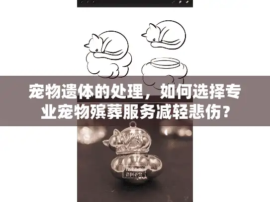宠物遗体的处理，如何选择专业宠物殡葬服务减轻悲伤？