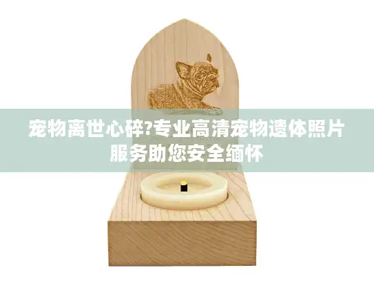 宠物离世心碎?专业高清宠物遗体照片服务助您安全缅怀