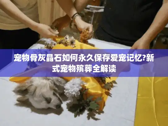 宠物骨灰晶石如何永久保存爱宠记忆?新式宠物殡葬全解读