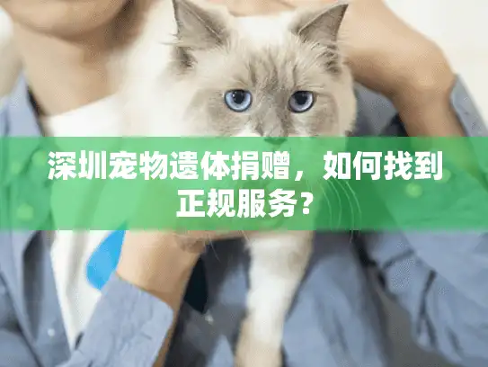 深圳宠物遗体捐赠，如何找到正规服务？
