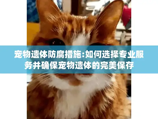 宠物遗体防腐措施:如何选择专业服务并确保宠物遗体的完美保存