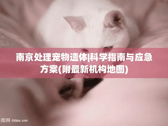 南京处理宠物遗体|科学指南与应急方案(附最新机构地图)