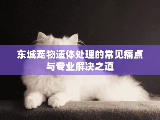 东城宠物遗体处理的常见痛点与专业解决之道