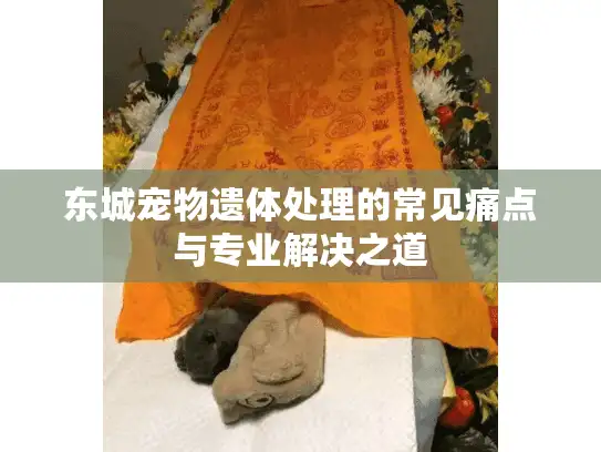 东城宠物遗体处理的常见痛点与专业解决之道
