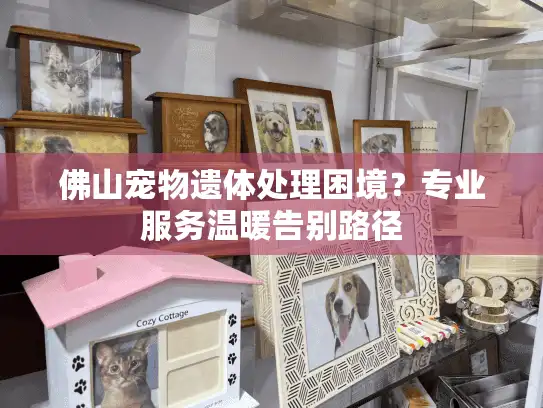 佛山宠物遗体处理困境？专业服务温暖告别路径
