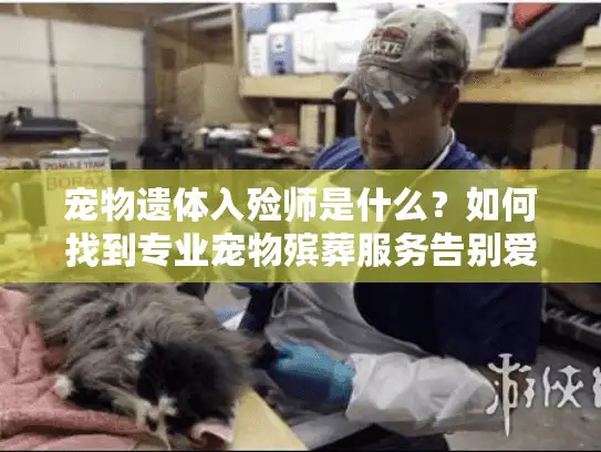 宠物遗体入殓师是什么？如何找到专业宠物殡葬服务告别爱宠？