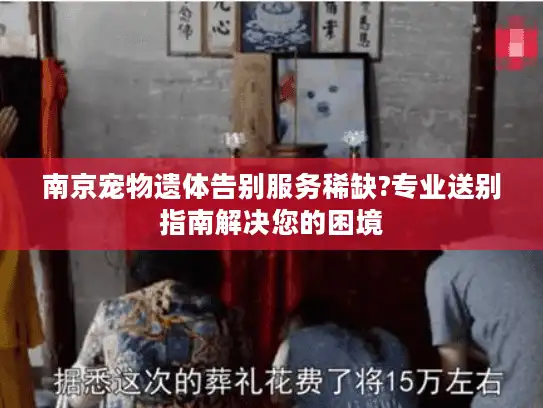 南京宠物遗体告别服务稀缺?专业送别指南解决您的困境