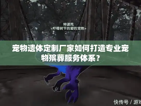 宠物遗体定制厂家如何打造专业宠物殡葬服务体系？
