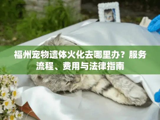 福州宠物遗体火化去哪里办？服务流程、费用与法律指南