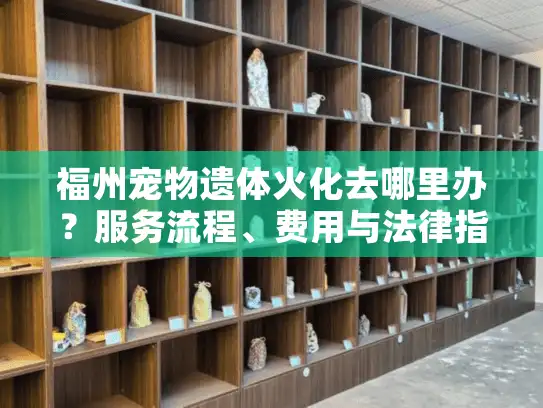 福州宠物遗体火化去哪里办？服务流程、费用与法律指南