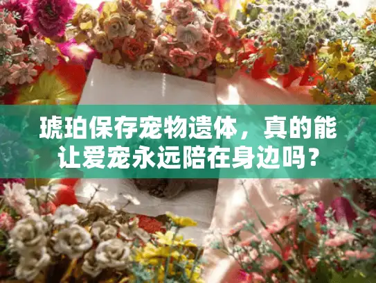 琥珀保存宠物遗体，真的能让爱宠永远陪在身边吗？