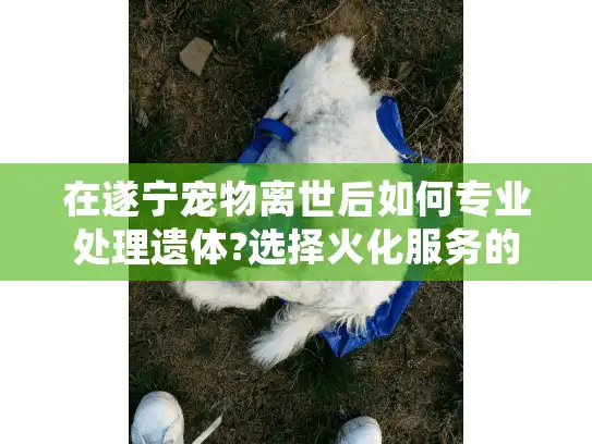 在遂宁宠物离世后如何专业处理遗体?选择火化服务的正确指南
