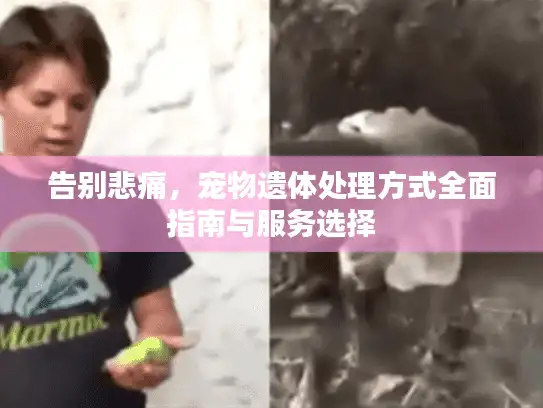 告别悲痛，宠物遗体处理方式全面指南与服务选择