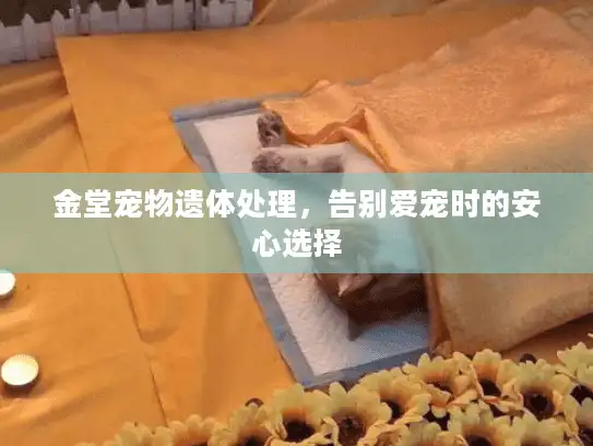 金堂宠物遗体处理，告别爱宠时的安心选择