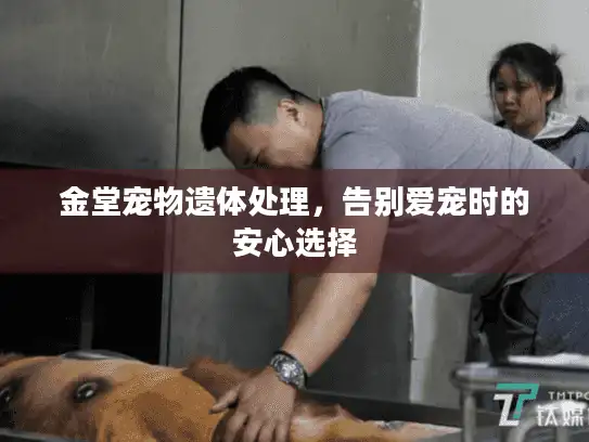 金堂宠物遗体处理，告别爱宠时的安心选择