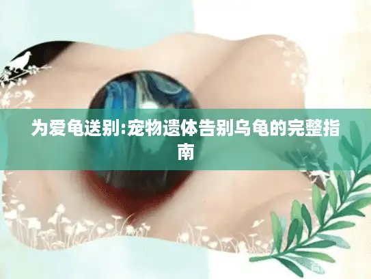 为爱龟送别:宠物遗体告别乌龟的完整指南