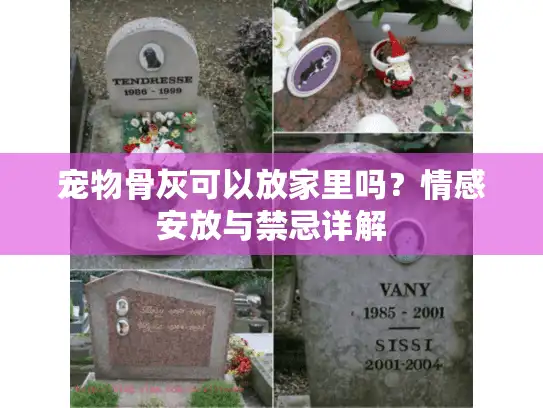 宠物骨灰可以放家里吗？情感安放与禁忌详解