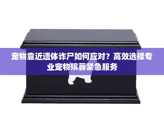 宠物靠近遗体诈尸如何应对？高效选择专业宠物殡葬紧急服务
