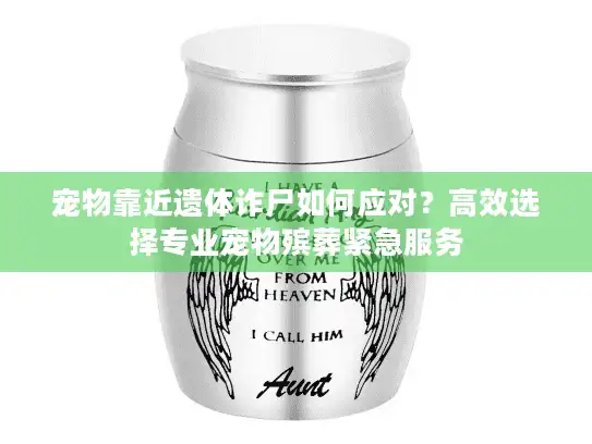 宠物靠近遗体诈尸如何应对？高效选择专业宠物殡葬紧急服务