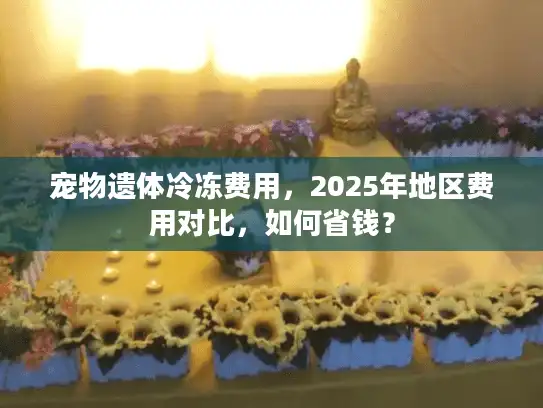 宠物遗体冷冻费用，2025年地区费用对比，如何省钱？
