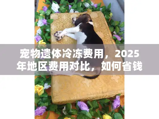 宠物遗体冷冻费用，2025年地区费用对比，如何省钱？